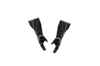 Dark Master Gloves