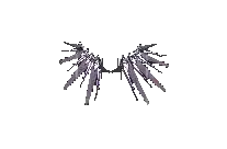 Wing of Ruin
