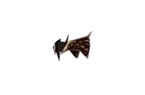 Vine Helm