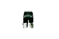 Scale Pants